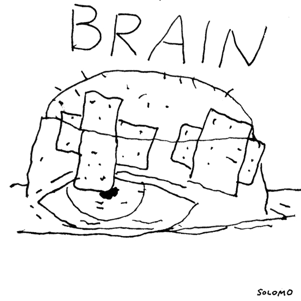 brain