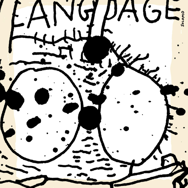 insect
        language detail