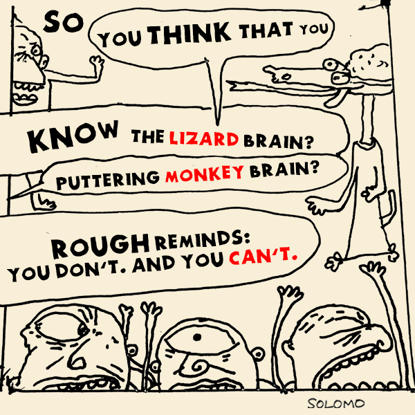 lizard