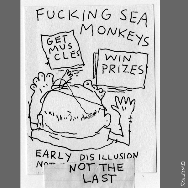 seamonkeys
