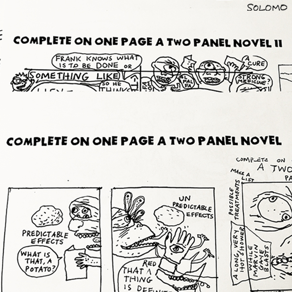novel